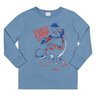 03 blusa dinossauros divertidos menino alenice