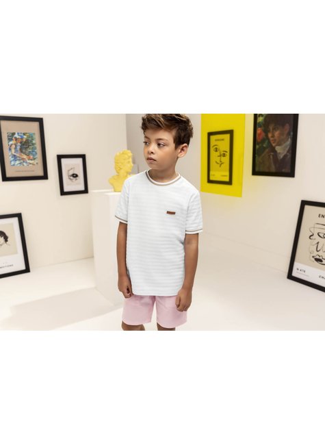 03 camiseta espinha de peixe menino charpey