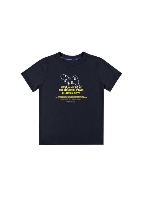 01 camiseta have a nice day menino charpey