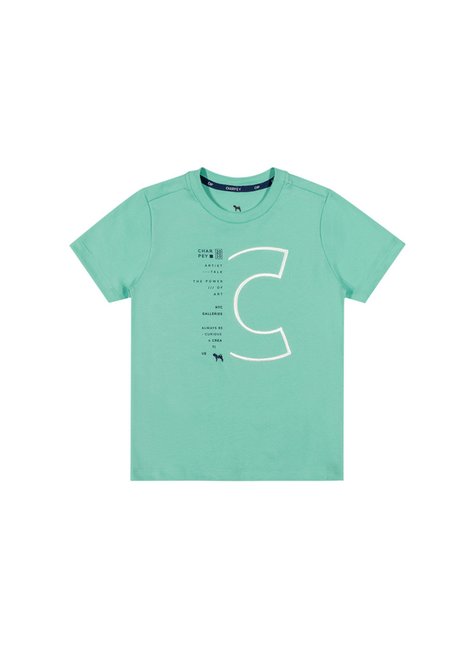 02 camiseta em suedine menino charpey