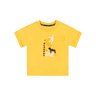 01 camiseta charpey sun menino charpey