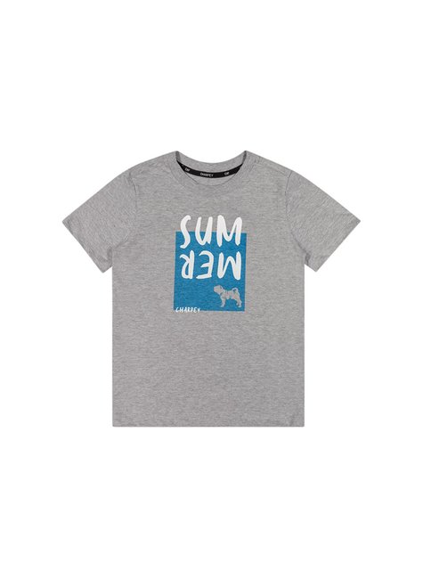 02 camiseta charpey season menino charpey