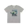 02 camiseta chameleon menino alenice