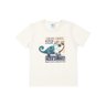 03 camiseta chameleon menino alenice