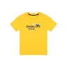03 camiseta estampa com puff originals menino charpey