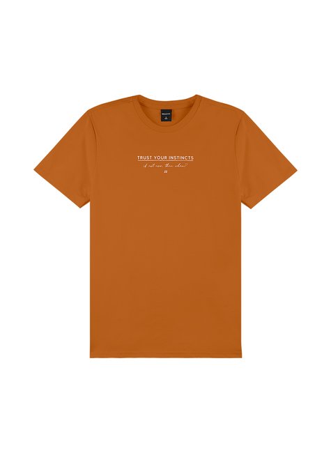 01 camiseta frase estampada rezzato adulto masculino