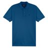 03 polo lisa com bordado rezzato adulto masculino